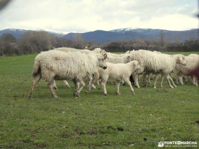 Madarquillos a los pies de Buitrago del Lozoya - Sierra Norte de Madrid;hoces del rio duraton piragu